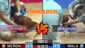 Trận 31 CPC2 27/3/2026