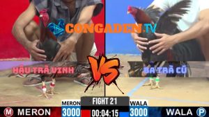 Trận 21 CPC2 27/3/2026