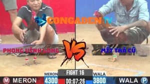 Trận 16 CPC2 27/3/2026