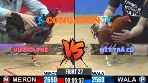 Trận 27 CPC2 27/3/2026