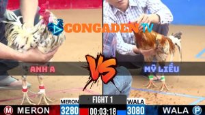 Trận 1 CPC2 Ngày 5/4/2026