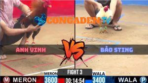 Trận 3 CPC2 Ngày 10/4/2026