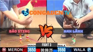 Trận 3 CPC2 Ngày 8/4/2026