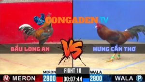 Trận 10 CPC2 Ngày 21/4/2026