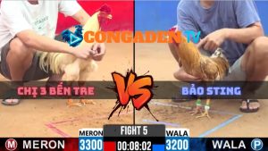 Trận 5 CPC2 Ngày 8/4/2026