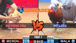 Trận 1 CPC2 Ngày 8/4/2026