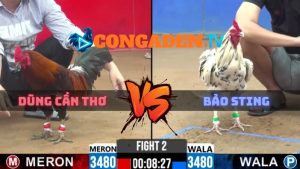 Trận 2 CPC2 Ngày 10/4/2026