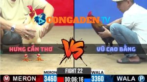 Trận 22 CPC2 Ngày 25/4/2026