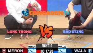 Trận 10 CPC2 Ngày 10/4/2026