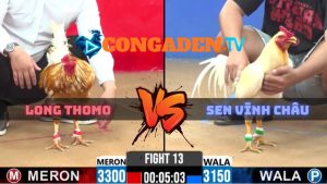 Trận 13 CPC2 Ngày 3/4/2026