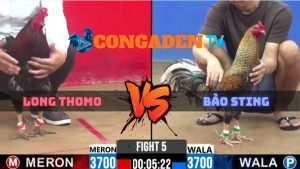 Trận 5 CPC2 Ngày 10/4/2026