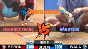 Trận 9 CPC2 Ngày 8/4/2026