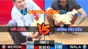 Trận 3 CPC2 Ngày 5/4/2026