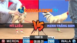 Trận 6 CPC2 Ngày 8/4/2026