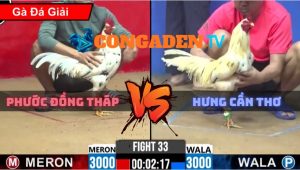 Trận 33 CPC2 Ngày 3/4/2026