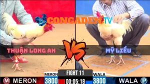 Trận 11 CPC2 Ngày 5/4/2026 - Thuận Long An Gặp Mỹ Liều