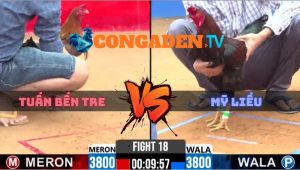 Trận 18 CPC2 Ngày 5/4/2026