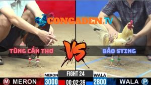 Trận 24 CPC2 Ngày 25/4/2026