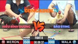 TRẬN 8 CPC2 NGÀY 29/5/2026