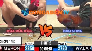 TRẬN 2 CPC2 NGÀY 27/5/2026
