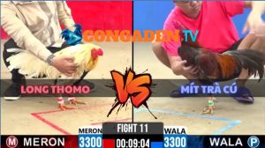 TRẬN 11 CPC2 NGÀY 20/5/2026