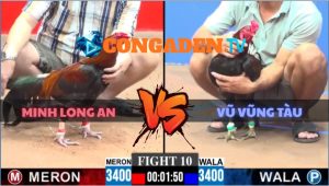 TRẬN 10 CPC3 NGÀY 7/6/2026